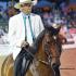 Paso Fino Classes at the Germantown Charity Horse Show